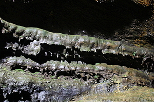 Ponta Delgada - Gruta do Carvao 19