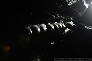 Ponta Delgada - Gruta do Carvao 35