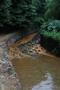 Furnas - Poca da dona Beija 10