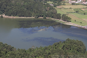 Sete Citades - Lagoa Verde 02