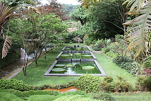 Furnas - Parque Terra Nostra 01
