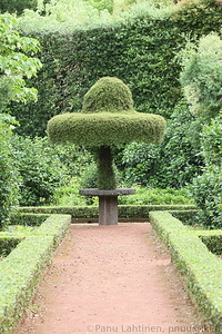 Furnas - Parque Terra Nostra 15