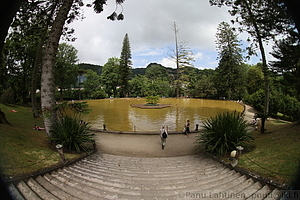 Furnas - Parque Terra Nostra 35