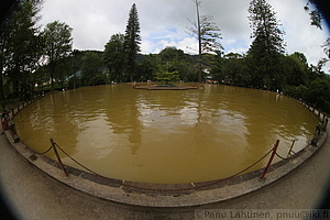 Furnas - Parque Terra Nostra 36