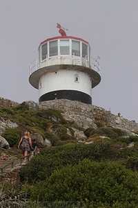 025 - img 9480