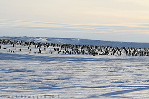 108 - img 0120