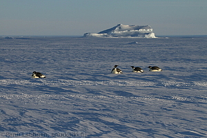 133 - img 0256