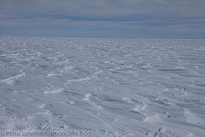 153 - img 0390