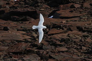 167 - img 0712