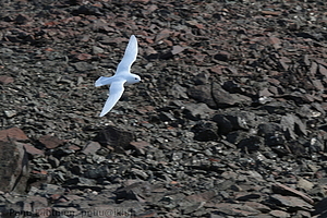 168 - img 0714