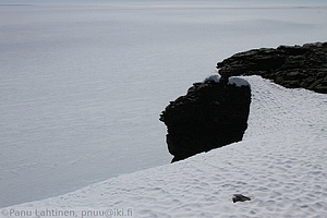 170 - img 0746