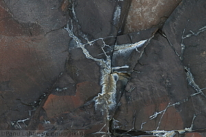 178 - img 0874