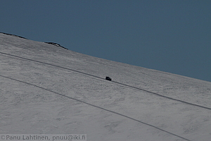205 - img 1574