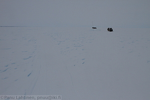208 - img 1684