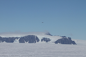 255 - img 2650