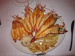 305 - img 5377