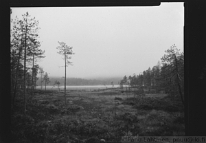 Pakkasjarvi