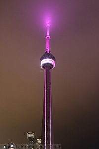 CN Tower yolla 3
