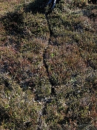 Sopulin polku