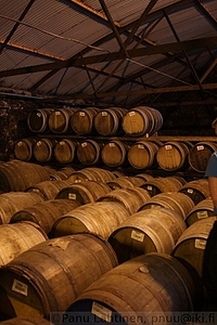 50 - Bruichladdichin varastoa 2