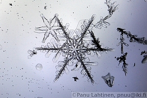 Snow flake 03