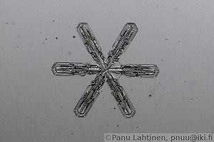 Snow flake 04
