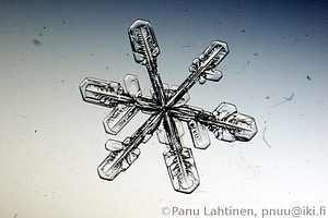 Snow flake 05