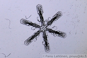 Snow flake 06