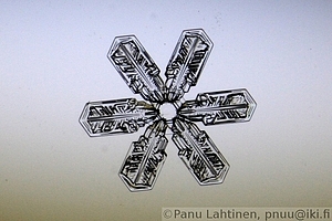 Snow flake 07