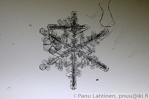 Snow flake 08