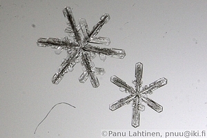 Snow flake 09