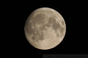 Moon crop