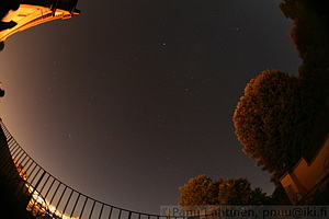 Perseid