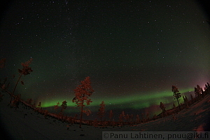 Auroras