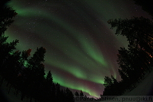 Auroras 1