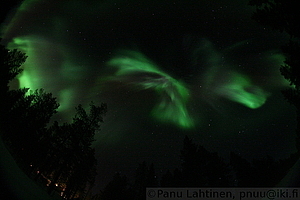 Auroras 3