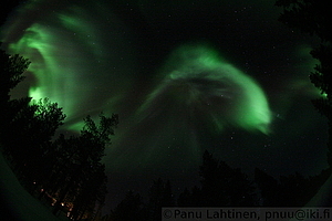 Auroras 4