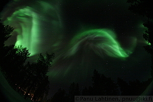 Auroras 5