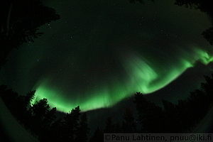 Auroras 7