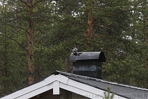 Telkka 3