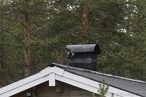 Telkka 4