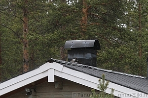Telkka 5