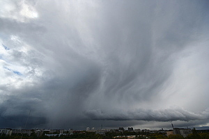 Cumulonimbus capillatus