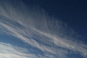Cirrus fibratus
