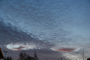 Altocumulus stratiformis virga