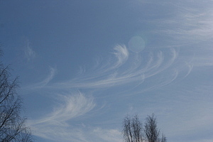Cirrus uncinus