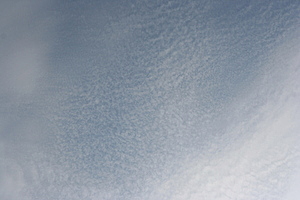 Cirrocumulus stratiformis
