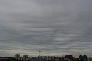 Stratocumulus undulatus