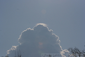 Cumulus congestus pileus