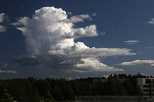 Cumulonimbus calvus